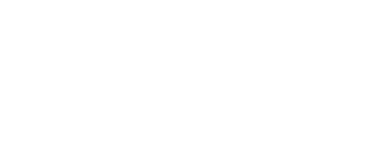 Logo Footer