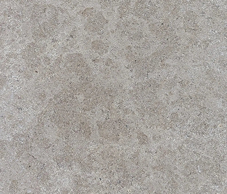 Type (1)